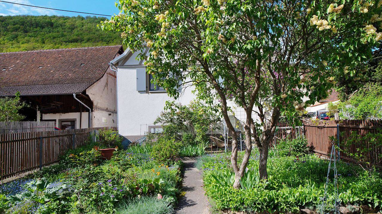 Ferienhaus für 4 Personen (100 m²) in Badenweiler in Badenweiler, Südschwarzwald