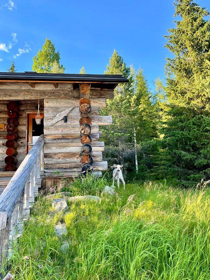Villa Saarua by Lapland Villas, Ruka, Ski In, 2Br, Private Sauna, Fireplace in Saarua, Nordösterbotten