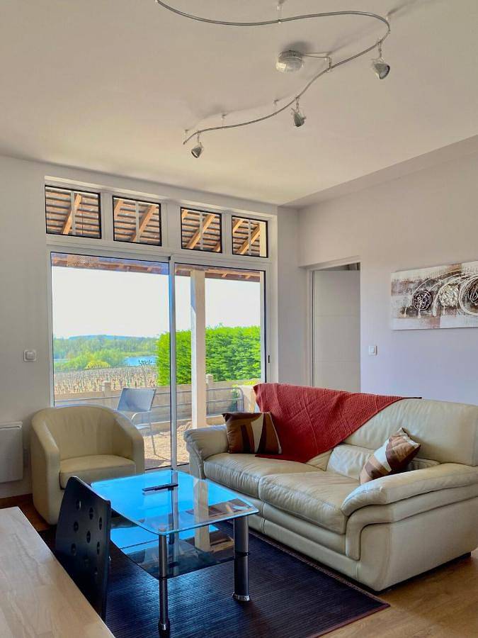 Gîte pour 4 personnes, avec vue et terrasse, animaux acceptés à Pouilly-sur-Loire