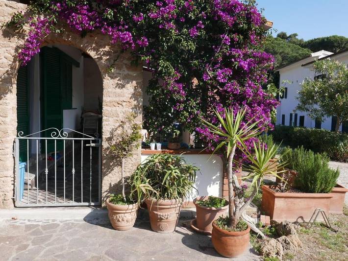 Ferienhaus für 3 Personen, mit Terrasse und Garten sowie Ausblick in Morcone (Capoliveri) - 2
