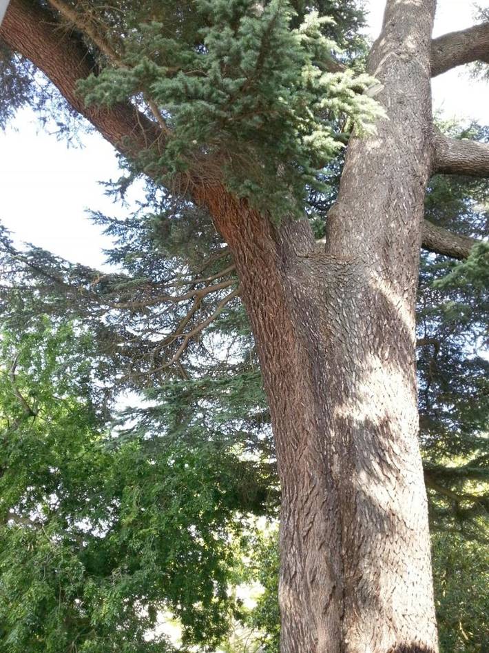 Bateau pour 6 personnes, avec jardin ainsi que vue et terrasse dans les Pays de la Loire - 2