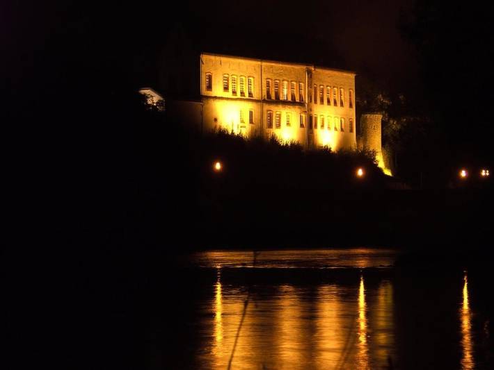 Hôtel pour 2 personnes, avec terrasse ainsi que jardin et vue, animaux acceptés à Bollendorf - 3