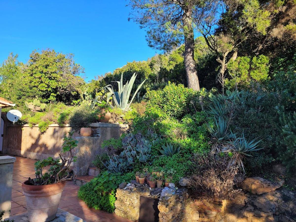 Two-Bedroom House in Hyeres, Parc national de Port-Cros