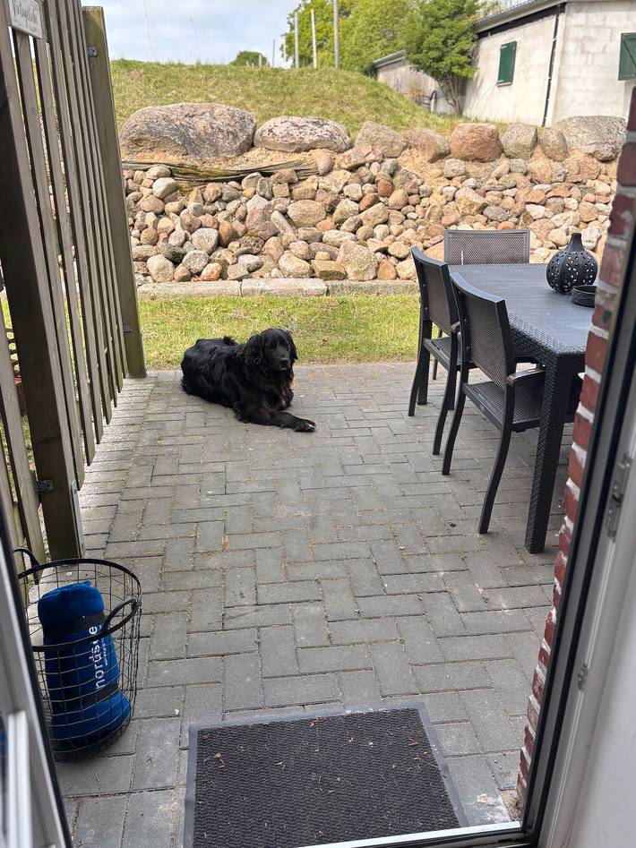 Bauernhof für 6 Personen, mit Garten, mit Haustier in Eider-Treene-Sorge - 4