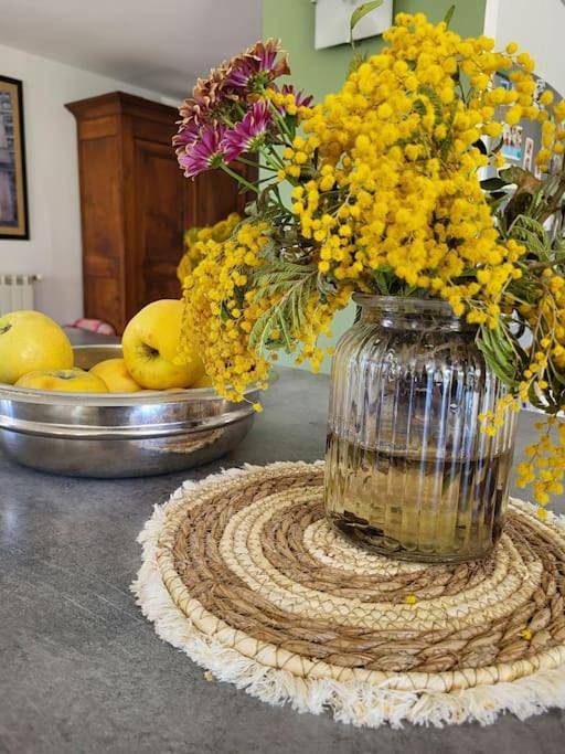 Location de vacances pour 8 personnes, avec jardin et piscine, adapté aux familles à Prades-le-Lez - 3