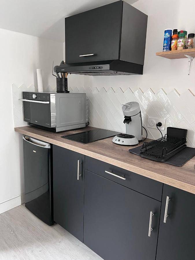 Appartement entier, Le gargantua, appartement à 500m du château in Chinon, Vallée de la Loire