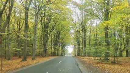 Bungalow für 6 Personen in Henne Strand, Westjütland, Bild 2