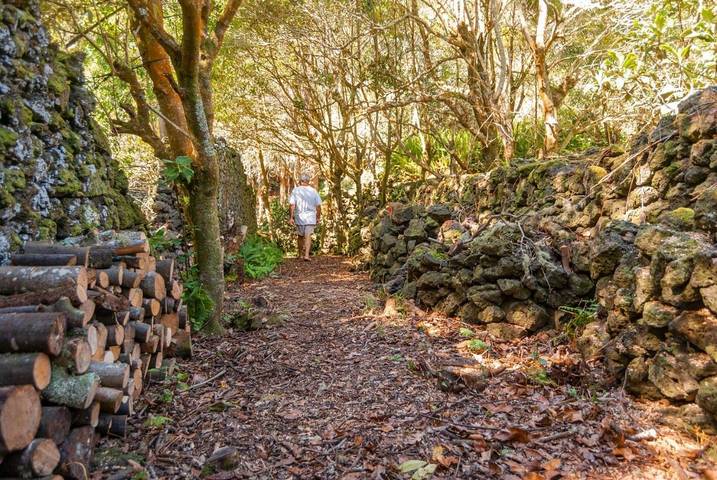 Maison d’hôte pour 4 personnes, avec piscine ainsi que jacuzzi et jardin dans Açores - 3