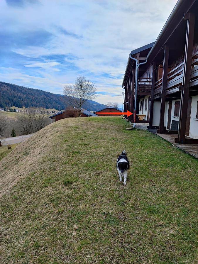Gîte pour 2 personnes, avec terrasse et vue à Bois-d'Amont - 3