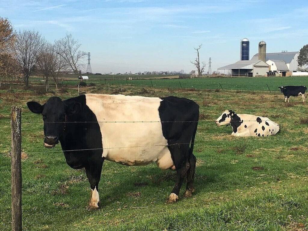 Ganze Wohnung, The Loft in Bird in Hand in Lancaster County