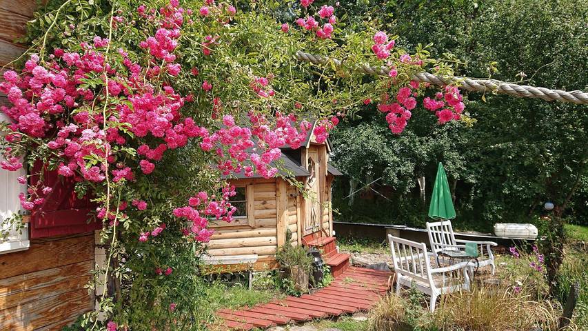 Cabane en bois pour 4 personnes, avec vue sur le lac et jardin, adapté aux familles en Bretagne - 2
