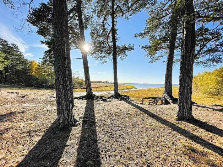 Ferienhaus für 2 Personen, mit Haustier in Östergötland - 4