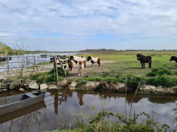 Chambre d’hôte pour 2 personnes, avec jardin dans Parc naturel régional de Brière - 4