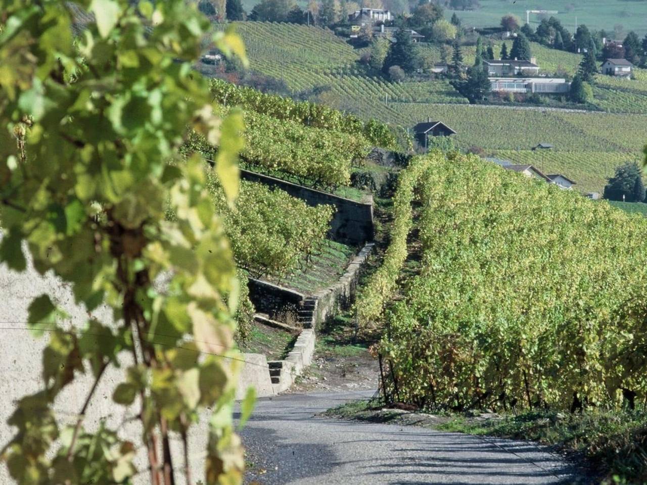 Blonay Logis de Vacances 2 in Blonay, Lago Lemán