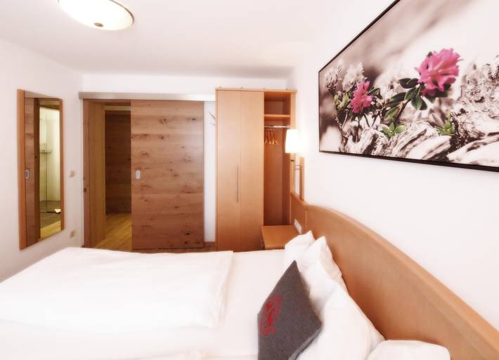Ganze Ferienwohnung, Appartement Almrausch/Fewo, 1 Schlafraum in Abtenau, Tennengau