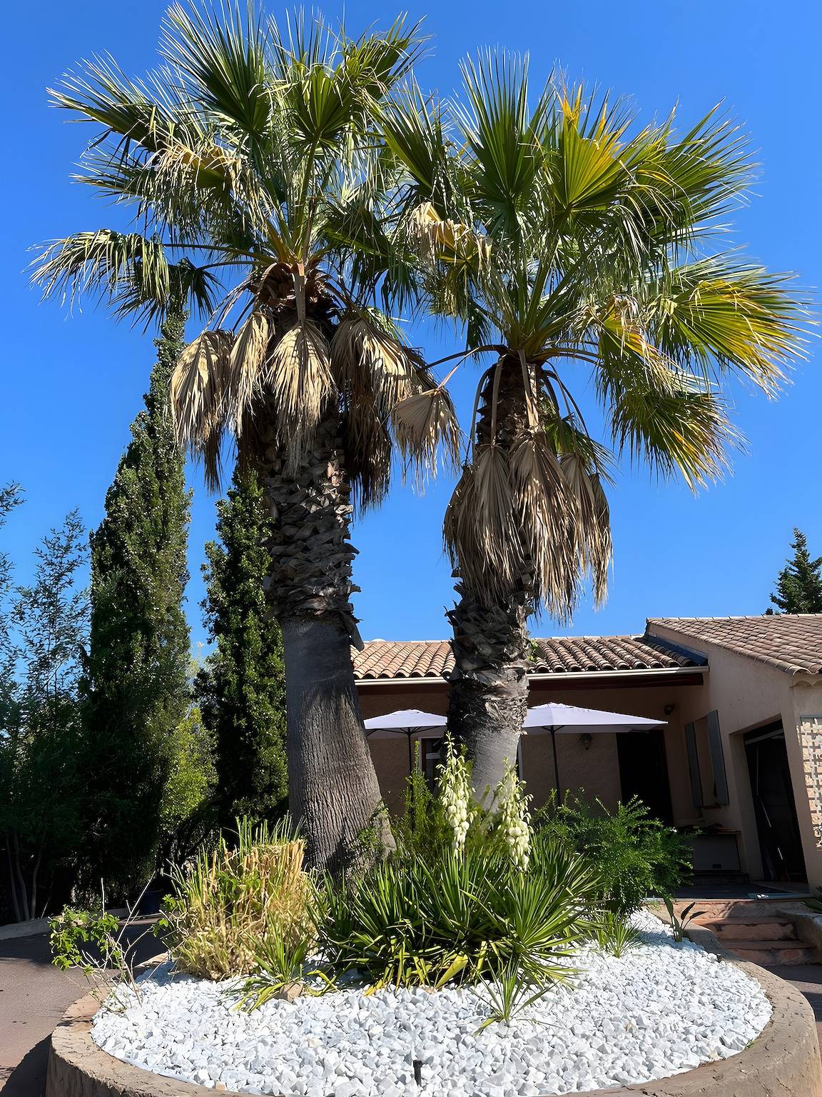 Ferienhaus 'Villa 3 Palmiers' mit privatem Pool, Wlan und Klimaanlage in Frejus, Draguignan Region