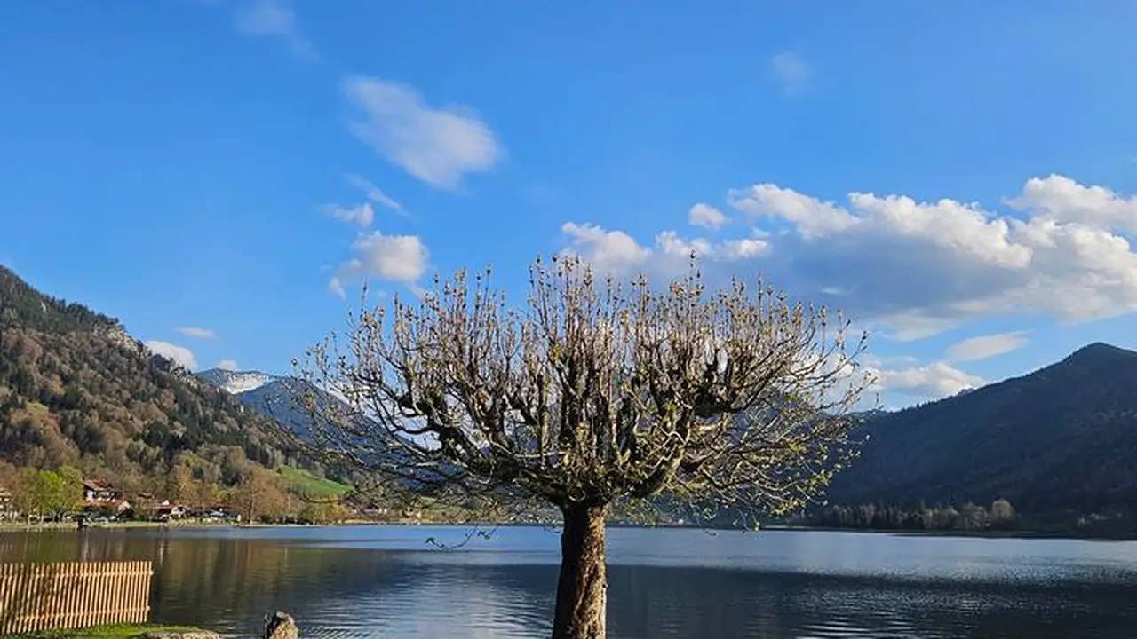 Ganze Ferienwohnung, Ferienwohnung für 2 Personen (30 m²) in Schliersee in Schliersee, Bayerische Alpen