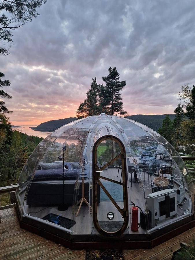Glassigloo med panoramautsikt - Nordlys og stjernehimmel - Fosen in Rissa