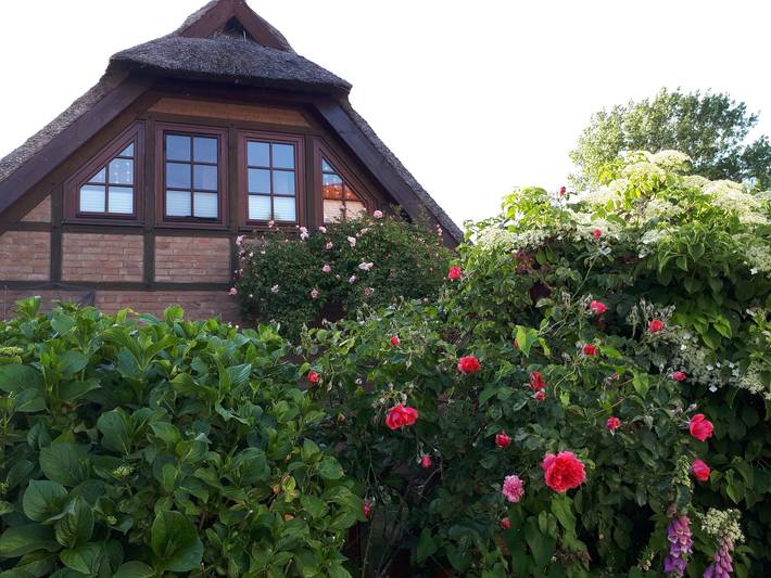 Ferienwohnung für 2 Personen, mit Terrasse und Ausblick sowie Garten in Bodstedt