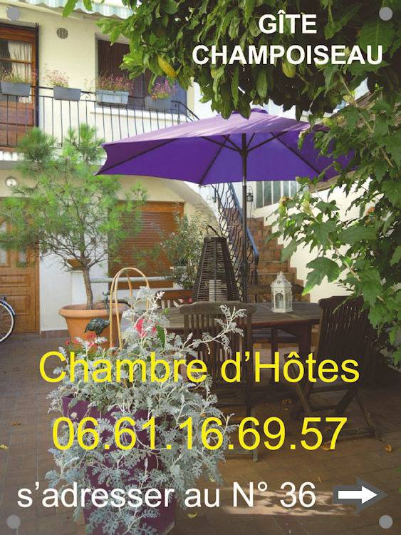 Gîte pour 3 personnes, avec balcon et jardin, animaux acceptés en Indre-et-Loire - 2