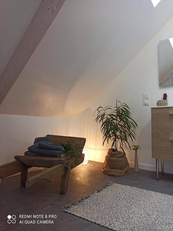 Location de vacances pour 5 personnes, avec terrasse à Calorguen - 3