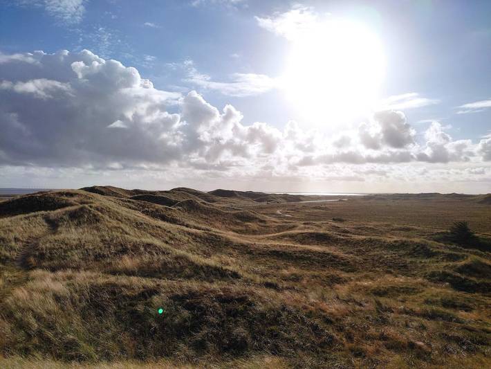 Ferienhaus für 5 Personen, mit Terrasse in Holmsland Klit - 3