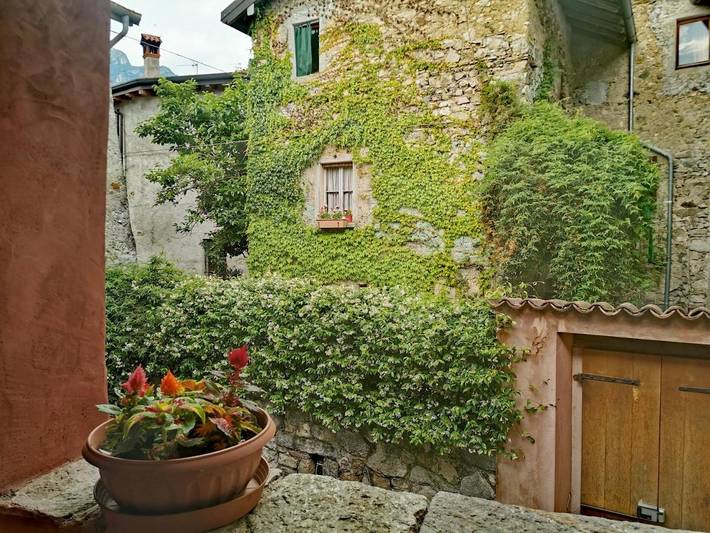 Chambre d’hôte pour 2 personnes, avec jardin à Mandello del Lario - 4