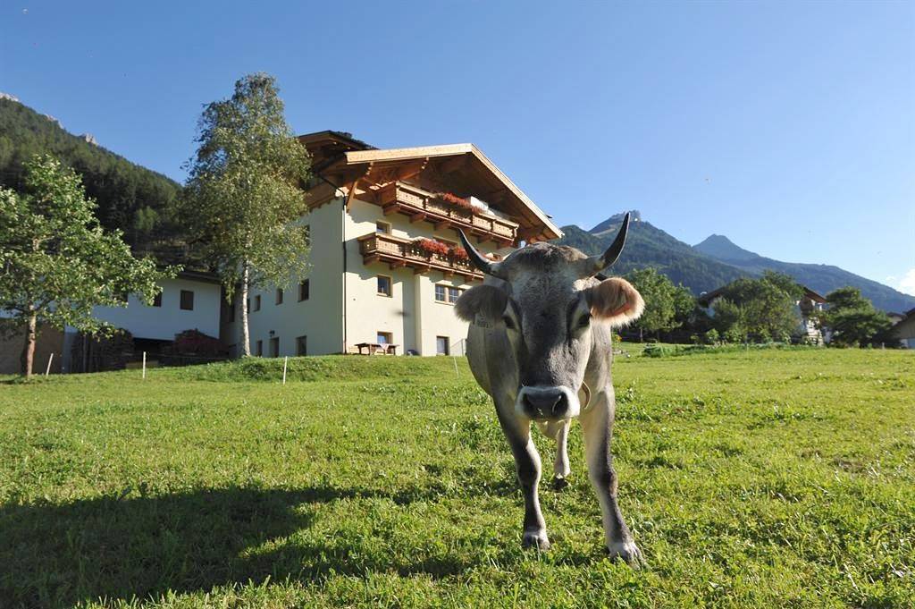 Ganze Ferienwohnung, Ferienwohnung Südblick, Kurz in Stubaier Alpen, Neustift im Stubaital
