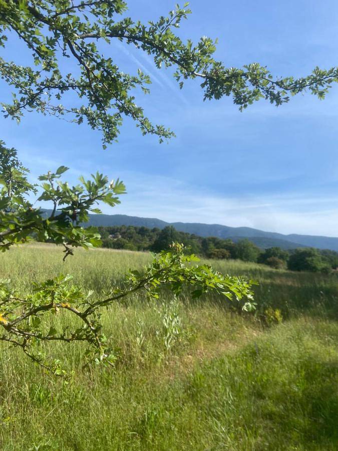 Location de vacances pour 6 personnes, avec terrasse et piscine à La Motte-d'Aigues - 3