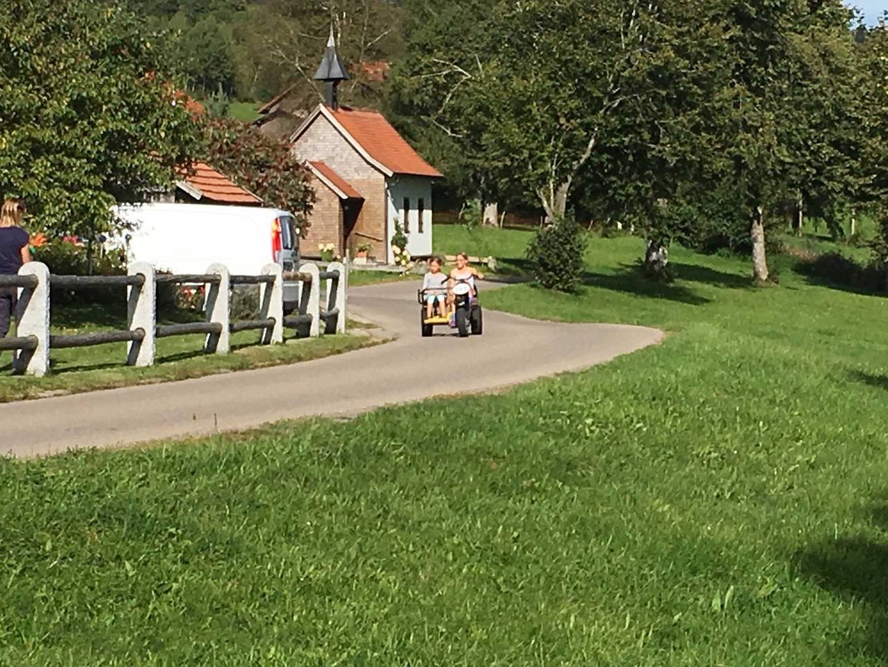 Ganze Ferienwohnung, Fewo Engelhirsch - Ferienwohnung Ostseite in Weitnau, Bayerisch Schwaben