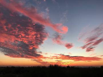 Cabin for 2 Guests in Arizona, USA, Picture 1