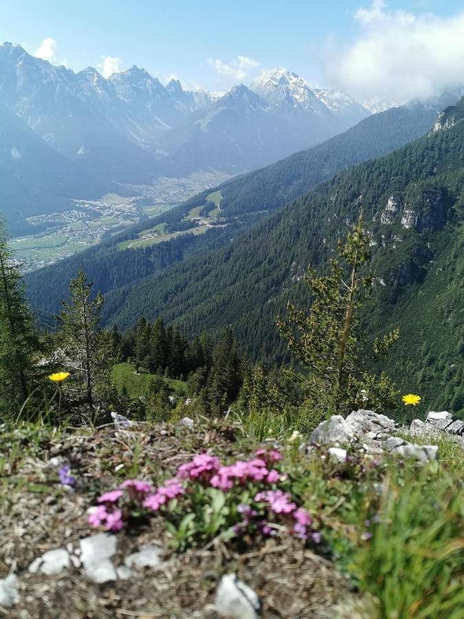 Maison d’hôte pour 3 personnes, avec jardin ainsi que vue et sauna à Neustift im Stubaital - 2