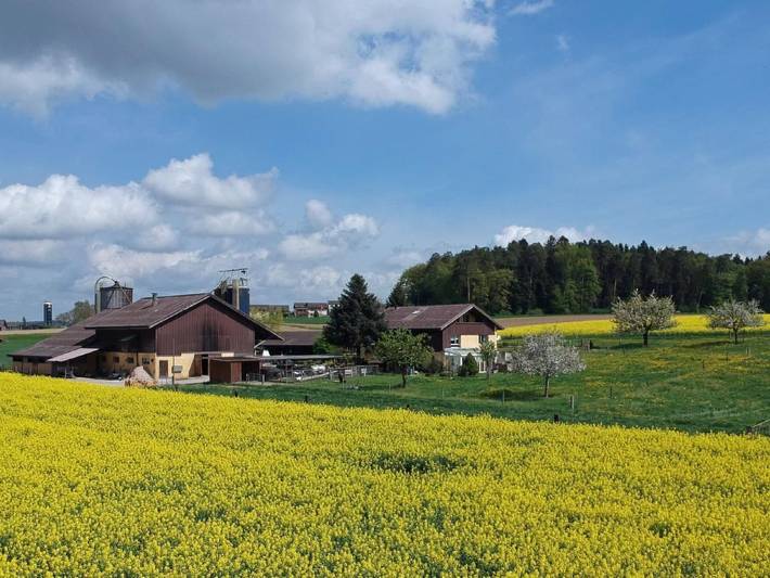 Ferienwohnung für 5 Personen, mit Garten