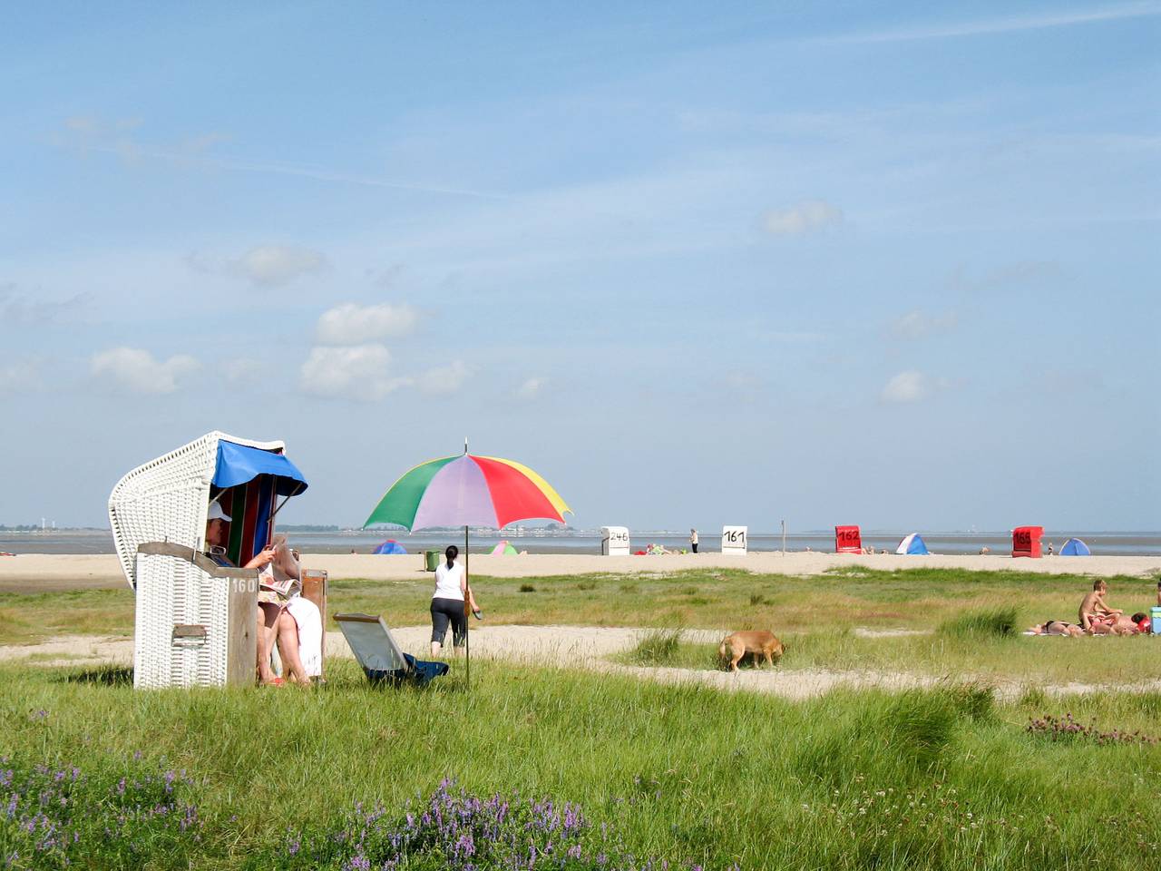 Bild 1