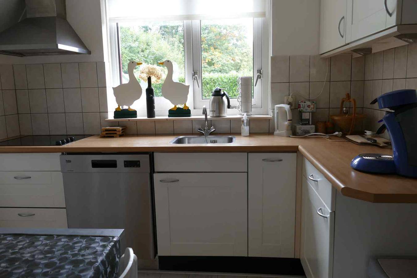 Quietly located detached holiday home for three in Hoogersmilde in Drenthe