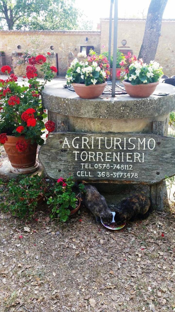 Appartamento intero, Agriturismo Torrenieri da Alessandro in Trequanda, Siena e dintorni
