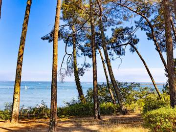 Villa pour 8 Personnes dans Petit Piquey, Lège-Cap-Ferret, Photo 2