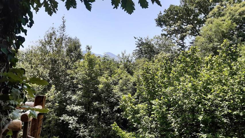 Gîte pour 2 personnes, avec vue ainsi que terrasse et jardin dans vallée d'Aspe - 3