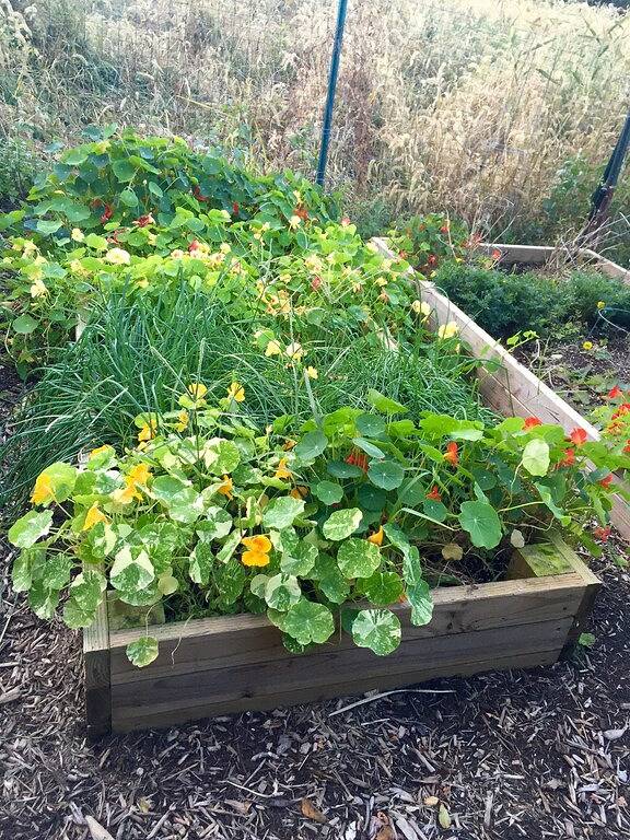 Atemberaubende Waterfront 4 Schlafzimmer Haus mit Pool, Bootsanlegestelle und Morgen Land in Noyack, Hamptons