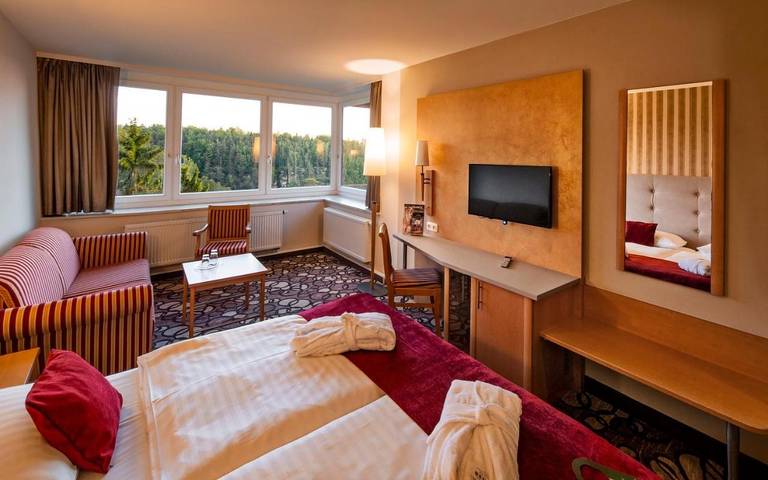 Hotel für 4 Personen, mit Terrasse und Sauna sowie Ausblick in Lohmen (Sachsen) - 2