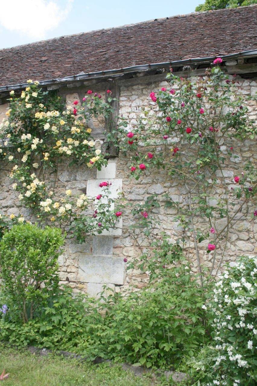 Four-Bedroom House in Chaumont-sur-Loire, Région de Blois