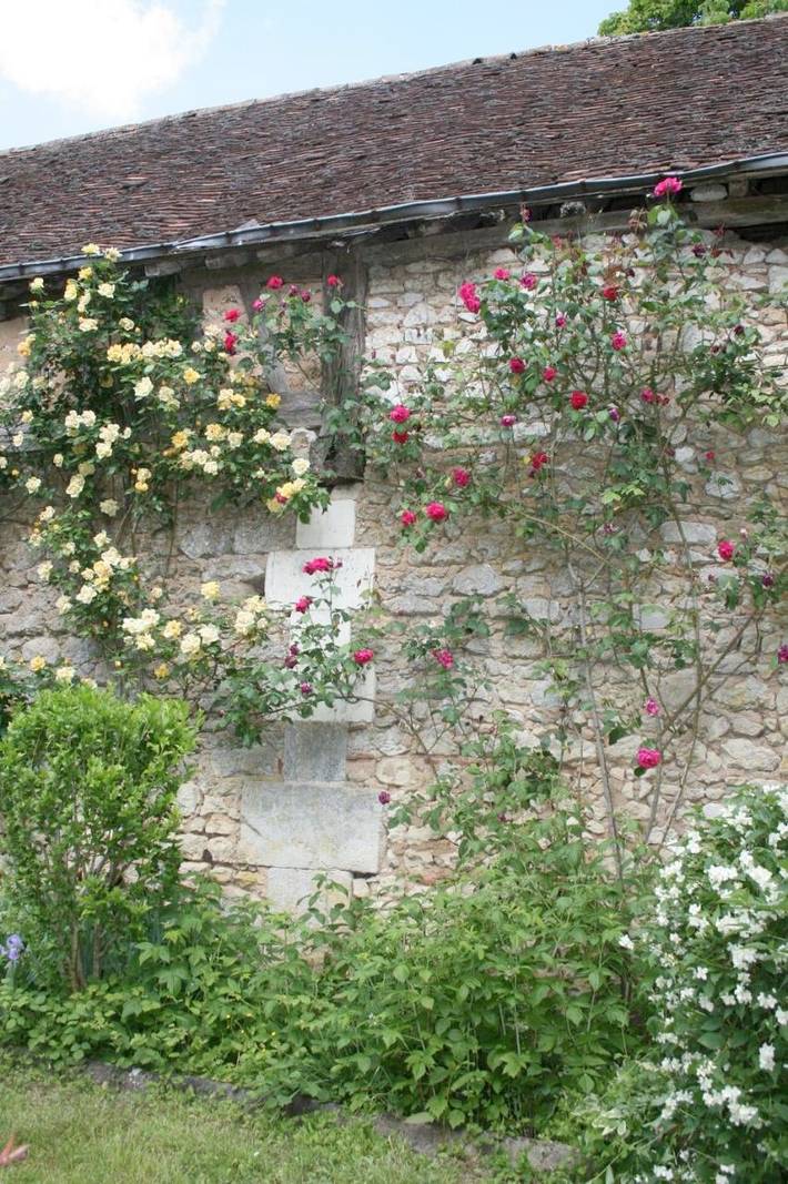 Location de vacances pour 9 personnes, avec jardin ainsi que vue et piscine à Chaumont-sur-Loire - 4