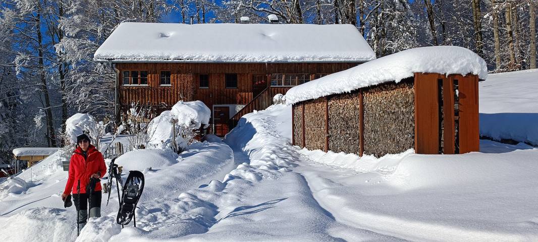 Ferienhaus für 6 Personen, mit Garten, mit Haustier im Bregenzerwald - 2