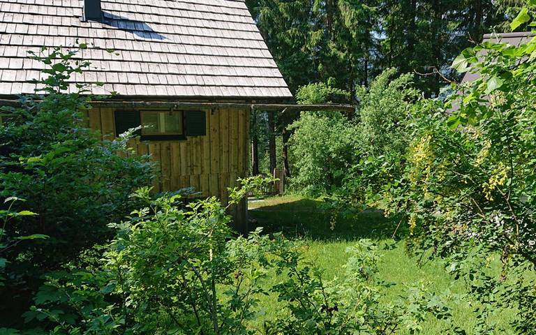 Ferienhaus für 3 Personen, mit Sauna und Garten, kinderfreundlich in Ausseerland - 2