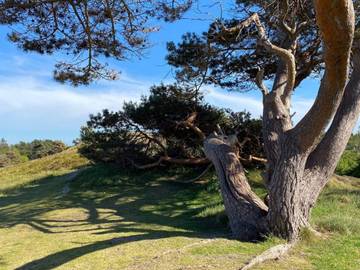 Ferieudlejning til 18 Personer i Vejby Strand, Vejby, Billede 4