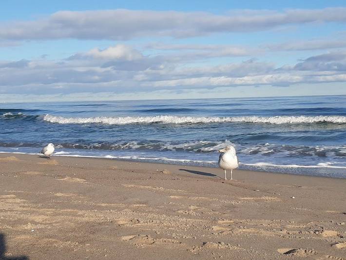 Hotel für 2 Personen, mit Terrasse, mit Haustier in Lobbe - 2