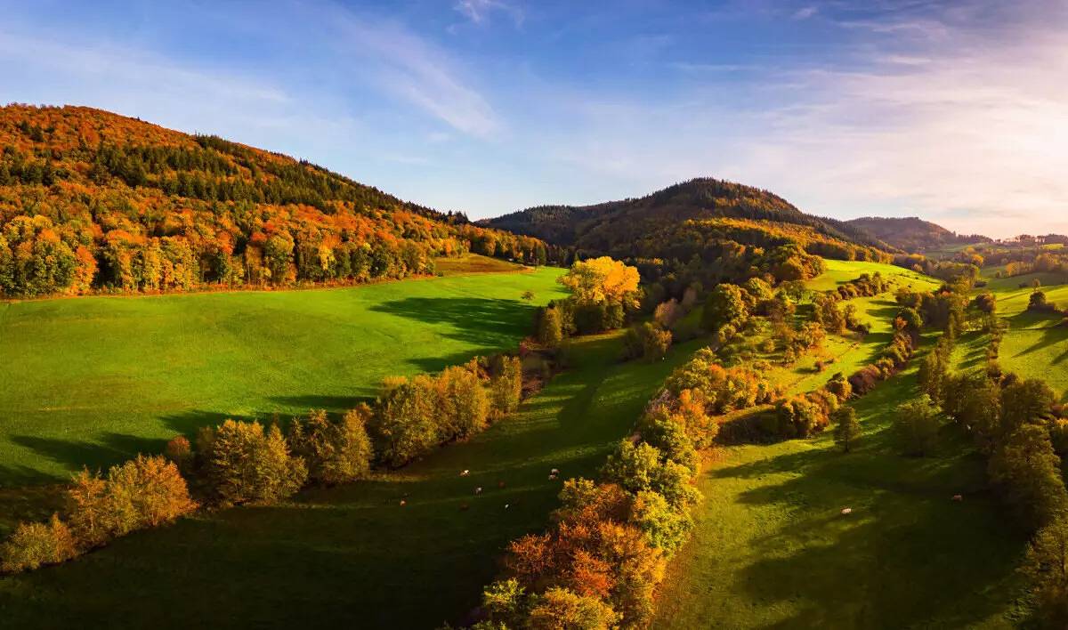 Ganze Wohnung, Gerbach Apartment mit Restaurant und Spielplatz – 1 km zum Stadtzentrum in Gerbach, Pfälzer Bergland