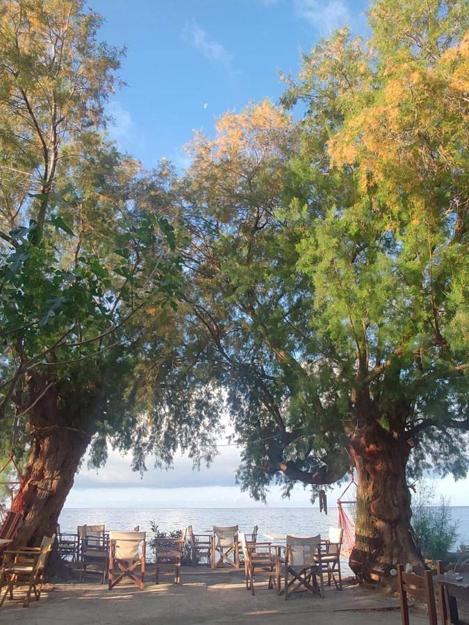 Double Room with Balcony and Sea View in Région de la Canée