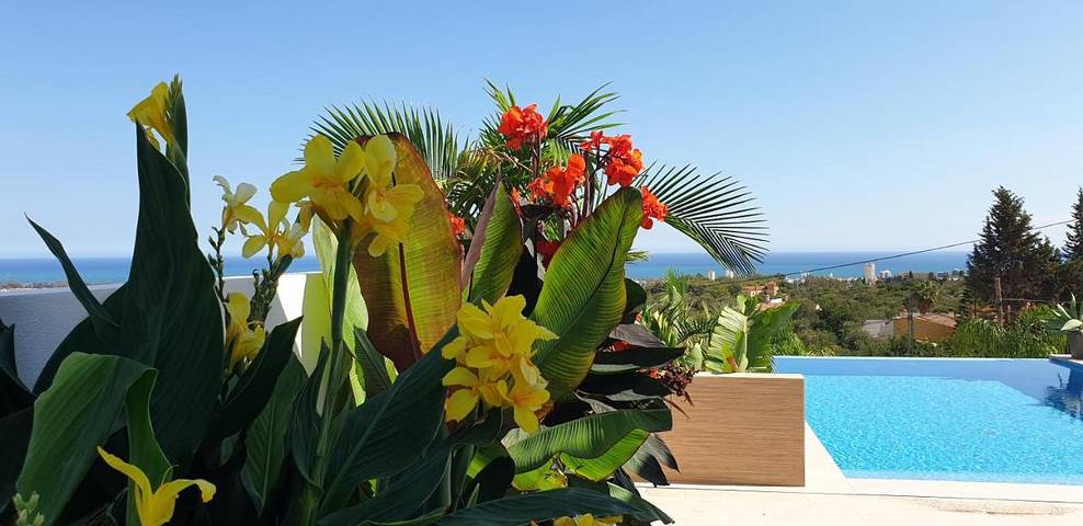 Casa rural para 10 personas, con jardín además de vistas y piscina en Churriana - 4