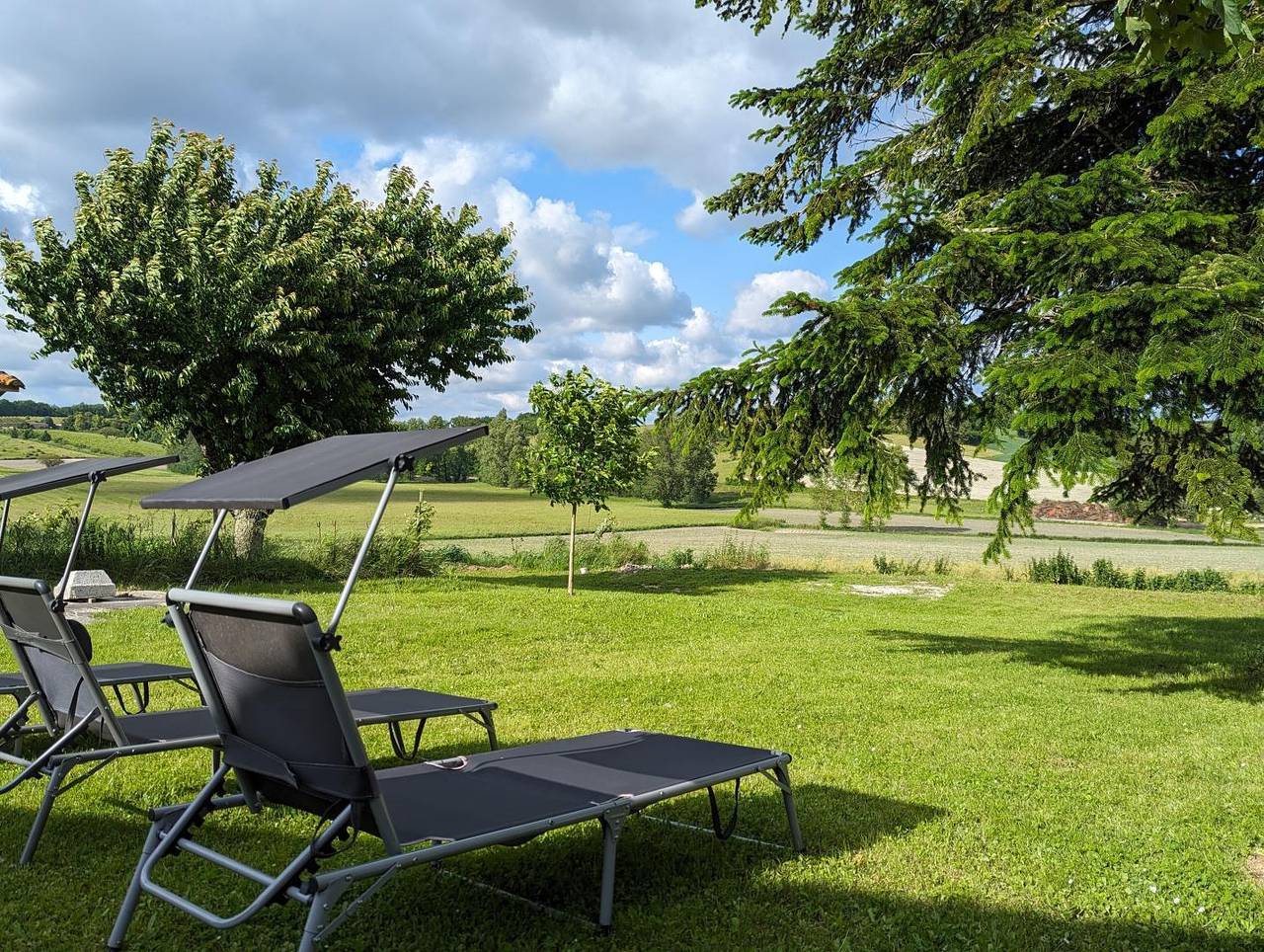 La Maison aux Orchidées - Suite Cinéma in Charente